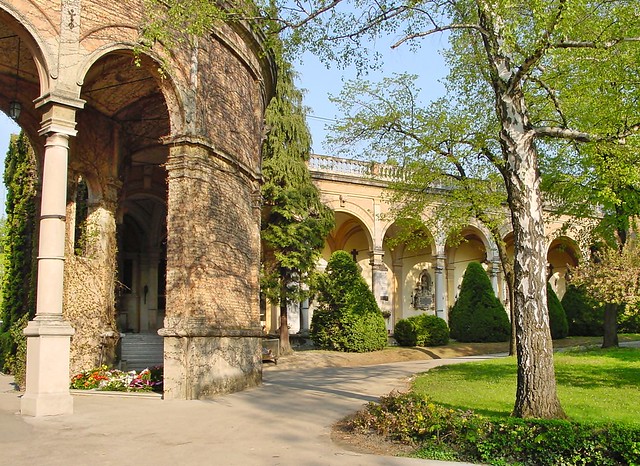 46567902114_1bc85dde2a_z