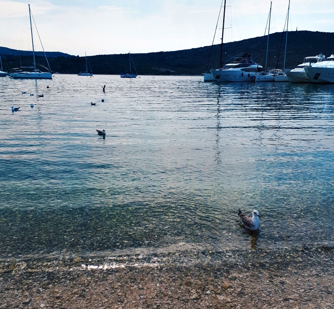 Processed with VSCO with hb2 preset