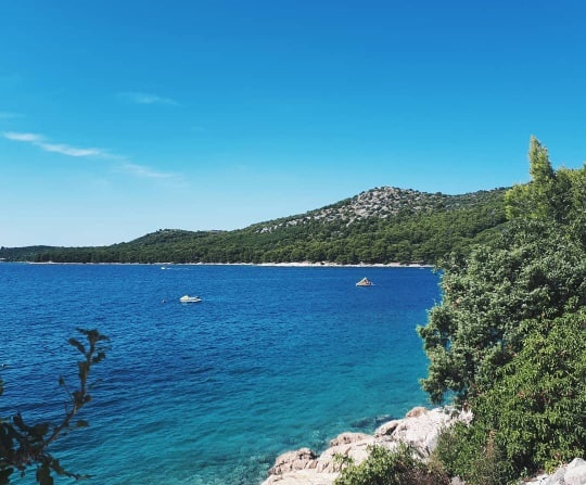 68852925_739622773139652_4763075738641367040_n