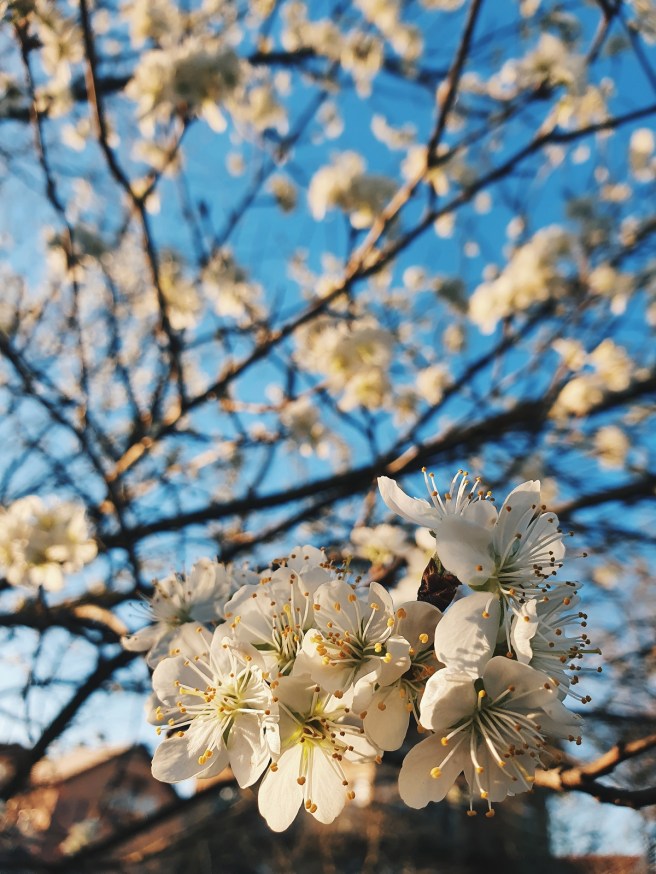 Processed with VSCO with hb2 preset