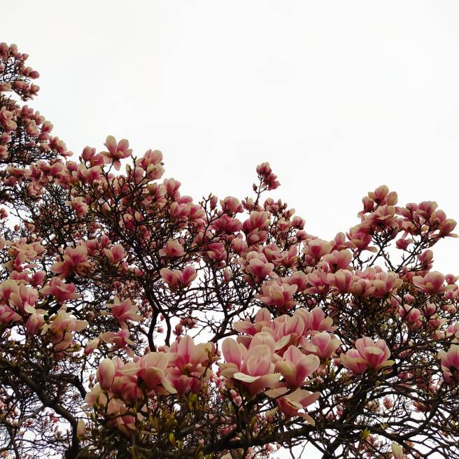 4076f755-1b8f-42bf-b55a-bf40da72dc2c